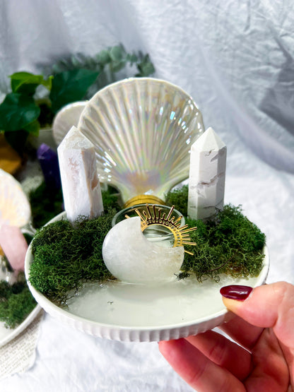 Pearl Grove | Crystal Seashell Tarot and Tealight Altar