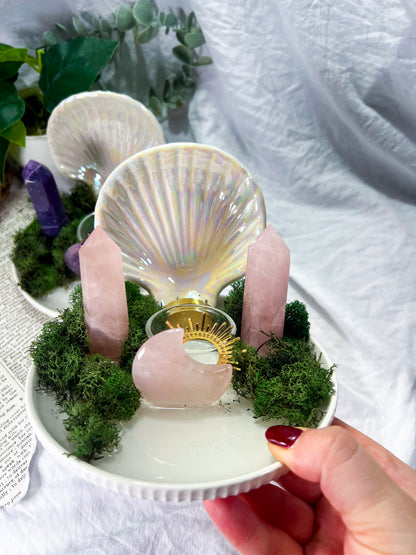 Pearl Grove | Crystal Seashell Tarot and Tealight Altar