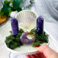 Pearl Grove | Crystal Seashell Tarot and Tealight Altar