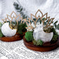 Clear Quartz Moon Acacia Coaster | Wooden Altar Plate with Sun Charm, Tealight Holder & Lotus