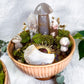 Cuenco Jardín Dulce | Floral Crystal Ritual Bowl for Healing & Gentle Growth