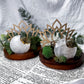 Clear Quartz Moon Acacia Coaster | Wooden Altar Plate with Sun Charm, Tealight Holder & Lotus