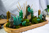 Fortune Grove Altar | Green Aventurine & Pyrite Crystal Altar | Abundance Ritual Altar with Tealight & Incense Holder