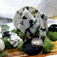 Moonlit Solace | Medium Altar