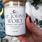 St. John’s Wort | Witchcraft Herb for Protection, Solar Magic, and Mood Support