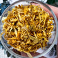 Calendula (Marigold) | Witchcraft Herb for Joy, Healing, and Solar Magic