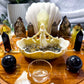 Smoky Quartz & Citrine Crystal Altar | Triple Tealight Altar with Removable Shell Oil Burner & Goddess Offering Bowl