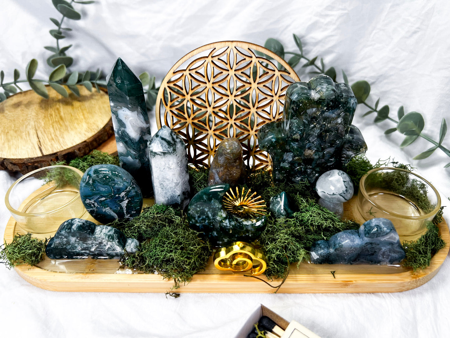 Sunkissed Ivy | Long Medium Altar