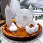 Selenite Mini Altar | Zodiac Tarot Display with Double Flower Vases & Tealight Holder | Crystal Ritual Tray