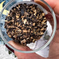 Comfrey | Witchcraft Herb for Healing, Protection, and Recovery Work