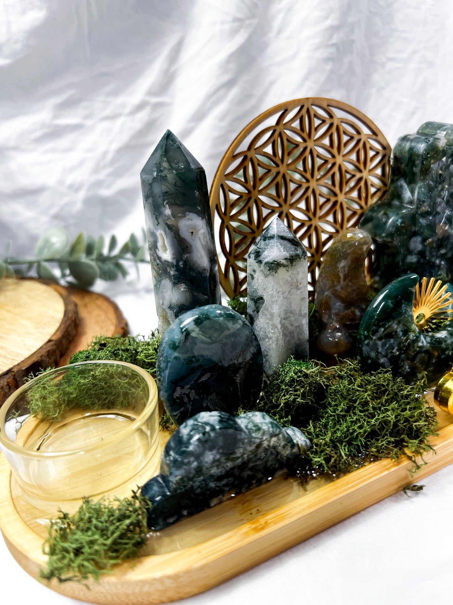 Sunkissed Ivy | Long Medium Altar