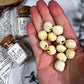 Lotus Seeds in Mini Jar for Spiritual Growth and New Beginnings | Ritual and Altar Offering