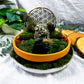 Earth Read Moss Agate & Pyrite Tarot Altar | Grounded Divination Setup with Chime & Tealight Holders