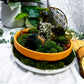Earth Read Moss Agate & Pyrite Tarot Altar | Grounded Divination Setup with Chime & Tealight Holders