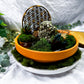 Earth Read Moss Agate & Pyrite Tarot Altar | Grounded Divination Setup with Chime & Tealight Holders