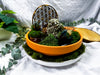 Earth Read Moss Agate & Pyrite Tarot Altar | Grounded Divination Setup with Chime & Tealight Holders