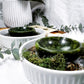 Earth Altar Offering Bowl | Nephrite Jade, Moss Agate, Herbs, and Gold Flakes in Ceramic Base