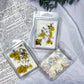 Wild Bloom | Wax Melts | Handmade Soy Wax Melts with Lemon Balm & Helichrysum | Crystal Inspired Home Fragrance