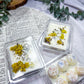Wild Bloom | Wax Melts | Handmade Soy Wax Melts with Lemon Balm & Helichrysum | Crystal Inspired Home Fragrance