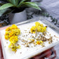 Wild Bloom | Wax Melts | Handmade Soy Wax Melts with Lemon Balm & Helichrysum | Crystal Inspired Home Fragrance