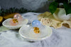 Tidal Charm Shell Dish | Crystal Seashell Dish for Calm, Love, Clarity & Soft Energy