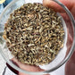 Pennyroyal | Witchcraft Herb for Protection, Banishing, and Boundaries
