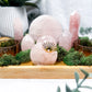 Rose Quartz Altar | Tarot Card Holder, Double Tealight, Incense Holder, and Crystal Display
