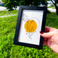 Creativity + Joy Art | 4x6 Framed Original Botanical Drawing