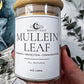Mullein | Witchcraft Herb for Protection, Spirit Work, and Ancestral Guidance