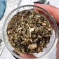 Mullein | Witchcraft Herb for Protection, Spirit Work, and Ancestral Guidance