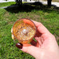 Golden Moon Light | Yellow Aventurine Crescent Moon Glass Candle | Citrine, Heather & Elderflower Abundance Candle