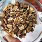 Burdock Root | Witchcraft Herb for Cleansing, Protection & Shadow Healing
