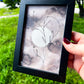 Love + Acceptance Art | 4x6 Framed Original Botanical Drawing