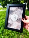 Love + Acceptance Art | 4x6 Framed Original Botanical Drawing