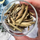 Olive Leaf | Witchcraft Herb for Peace, Wisdom, and Spiritual Protection