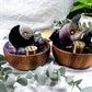 Mini Protection Bowls