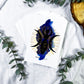 The Daily Enchantment Deck | Oracle Cards for Witchcraft, Rituals, and Daily Spell Guidance
