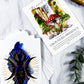 The Daily Enchantment Deck | Oracle Cards for Witchcraft, Rituals, and Daily Spell Guidance