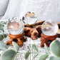 Clear Quartz Sphere with Wooden Holder | 1in Crystal Ball for Clarity and Energy Amplification