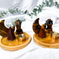Waning Tiger | Mini Coaster Altar