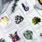 The Daily Enchantment Deck | Oracle Cards for Witchcraft, Rituals, and Daily Spell Guidance