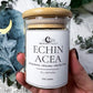 Echinacea | Witchcraft Herb for Strength, Protection, and Energy Boosts