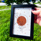 Grounding + Health Art | 4x6 Framed Original Botanical Drawing