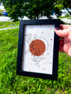 Grounding + Health Art | 4x6 Framed Original Botanical Drawing