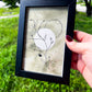 Growth + Prosperity Art | 4x6 Framed Original Botanical Drawing