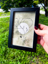 Growth + Prosperity Art | 4x6 Framed Original Botanical Drawing