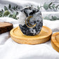 Moon Celestia | Mini Coaster Altar