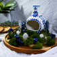 Blue Tide Altar | Lapis Lazuli, Blue Quartz, Sodalite & Clear Quartz Ritual Altar for Intuition, Calm & Communication