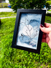 Tranquility + Renewal Art | 4x6 Framed Original Botanical Drawing
