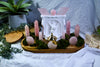 Rose Angel Diffuser Altar | Rose Quartz Ritual Altar for Self-Love, Healing & Soft Energy